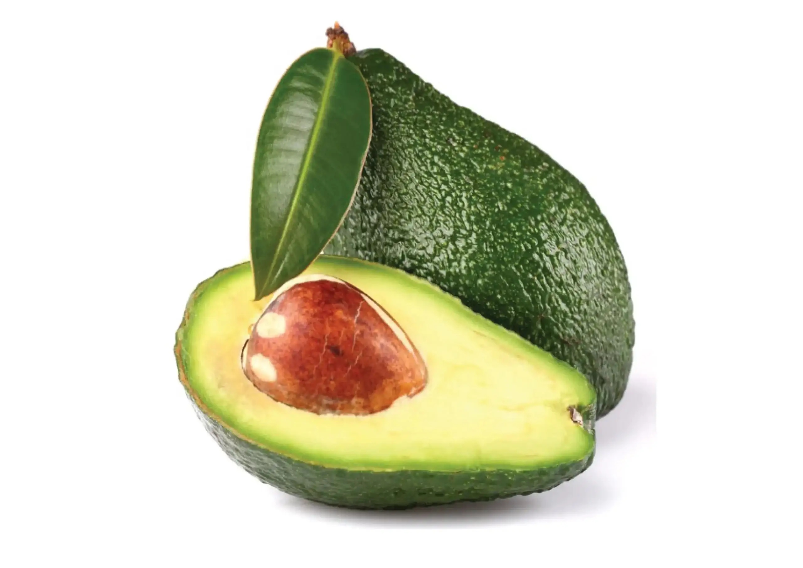 One avocado in the center of the image, cut in half showing the flesh.