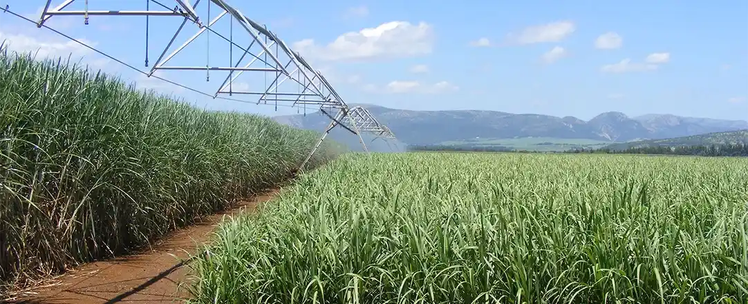 A field with agricultural equipment