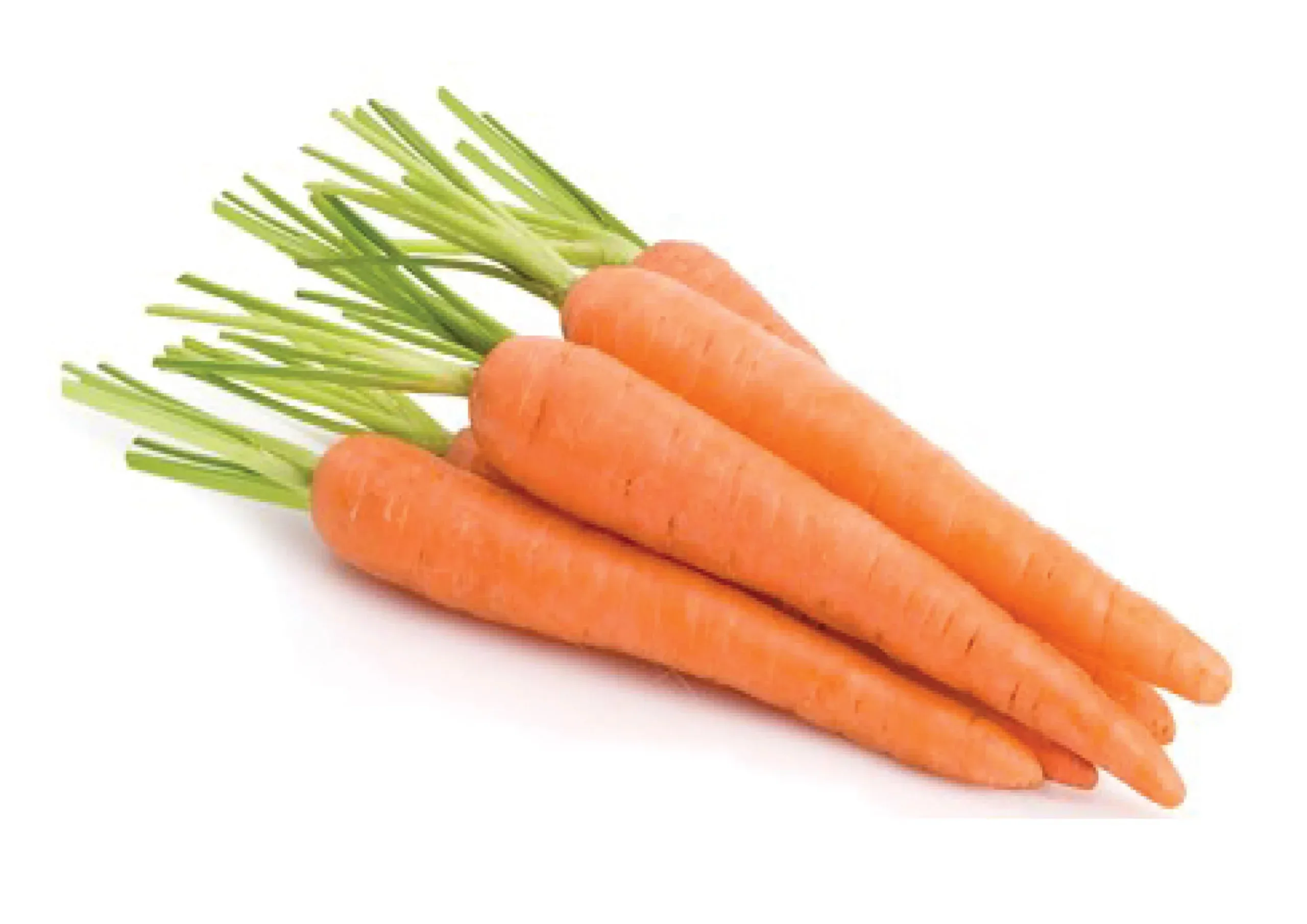 A stack of carrots with stalks in the center of the image